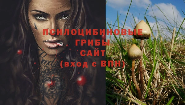 герыч Медногорск