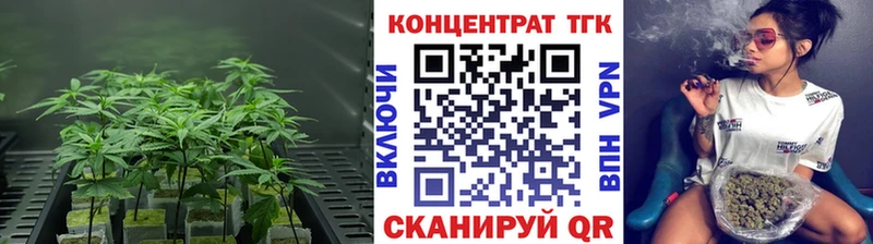 МЕГА как войти  Екатеринбург  ТГК Wax 