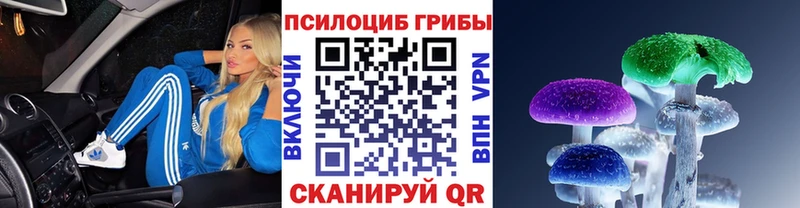 где продают   Екатеринбург  Псилоцибиновые грибы Psilocybe 